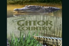 Gator-country